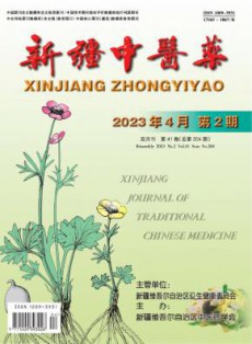 新疆中医药